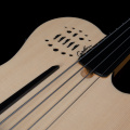 Електро акустичний бас Godin Guitars Godin A4 Ultra Natural Fretless A/E 5 – techzone.com.ua