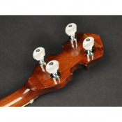 Банджо Richwood RMB-604-SS 5 – techzone.com.ua Банджо Richwood RMB-604-SS 5 – techzone.com.ua