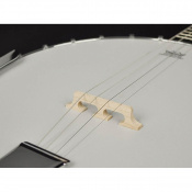 Банджо Richwood RMB-604-SS 7 – techzone.com.ua Банджо Richwood RMB-604-SS 7 – techzone.com.ua