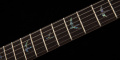 PRS SE Paul's Guitar (Faded Blue Burst) 10 – techzone.com.ua