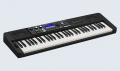Синтезатор Casio Casioton CT-S500 2 – techzone.com.ua