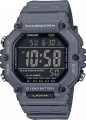 Чоловічий годинник Casio Timeless Digital Sport AE-1600H-8BVEF 1 – techzone.com.ua