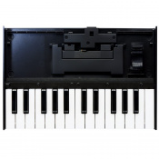 Клавіатура Roland K-25m