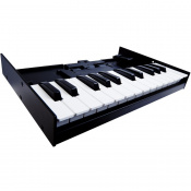 Клавиатура Roland K-25m 2 – techzone.com.ua Клавиатура Roland K-25m 2 – techzone.com.ua