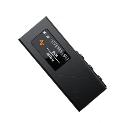 ЦАП + Підсилювач Cayin RU3 Black – techzone.com.ua