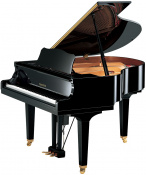 Дісклавір Yamaha DGB1K ENST PE 1 – techzone.com.ua