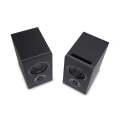 Активна акустична система BluOS PSB iQ2 Black 3 – techzone.com.ua