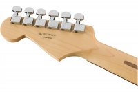 FENDER PLAYER STRATOCASTER PF PWT Электрогитара 6 – techzone.com.ua