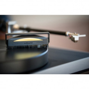 Антистатическая чистящая щетка AUDIOQUEST Super Conductive Anti-Static Record Brush 5 – techzone.com.ua Антистатическая чистящая щетка AUDIOQUEST Super Conductive Anti-Static Record Brush 5 – techzone.com.ua