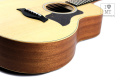 TAYLOR GUITARS GS MINI Гітара акустична 15 – techzone.com.ua