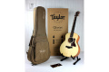 TAYLOR GUITARS GS MINI Гітара акустична 25 – techzone.com.ua