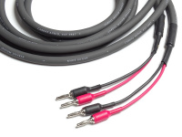 Акустичний кабель Cardas Iridium 2,5m pair 2 – techzone.com.ua Акустичний кабель Cardas Iridium 2,5m pair 2 – techzone.com.ua