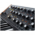 Аналоговий синтезатор Moog Subsequent 37 5 – techzone.com.ua