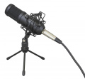 Мікрофон для стрімінгу Tascam TM-70 2 – techzone.com.ua