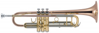 Труба J.MICHAEL TR-450 (S)