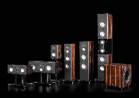 Сабвуфер Monitor Audio Platinum PLW215 II Ebony 4 – techzone.com.ua Сабвуфер Monitor Audio Platinum PLW215 II Ebony 4 – techzone.com.ua