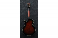 IBANEZ AG95QA-DBS Гитара полуакустическая 2 – techzone.com.ua IBANEZ AG95QA-DBS Гитара полуакустическая 2 – techzone.com.ua