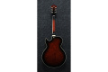 IBANEZ AG95QA-DBS Гитара полуакустическая 2 – techzone.com.ua
