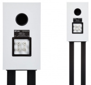 Акустика ProAc Response DB3 Satin White 5 – techzone.com.ua