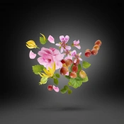 Xerjoff Casamorati Regio Парфумована вода для чоловіків 100 мл тестер 3 – techzone.com.ua