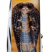 Складной нож Victorinox SPARTAN ZODIAC Королевская кобра 1.3603.Z4230pk 5 – techzone.com.ua