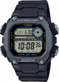 Годинник Casio TIMELESS COLLECTION DW-291HX-1A – techzone.com.ua