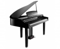 Цифровой рояль Kurzweil CGP220 W 2 – techzone.com.ua