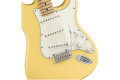 FENDER PLAYER STRATOCASTER MN BCR Электрогитара 4 – techzone.com.ua