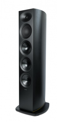 Підлогова акустика ARCAM Radia R45 Black (ARCR45BLK) шт – techzone.com.ua