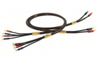 Акустичний кабель Van Den Hul Super Nova Bi-Wiring 2,0 m 2 – techzone.com.ua Акустичний кабель Van Den Hul Super Nova Bi-Wiring 2,0 m 2 – techzone.com.ua