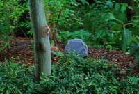 Ландшафтна акустика Taga Harmony TRS-30 Sandstone 2 – techzone.com.ua Ландшафтна акустика Taga Harmony TRS-30 Sandstone 2 – techzone.com.ua