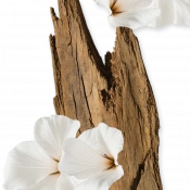 Parfums de Marly Valaya Парфумована вода для жінок 75 мл 4 – techzone.com.ua