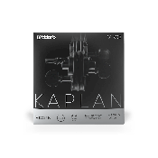 D'ADDARIO KAPLAN VIVO VIOLIN STRING SET 4/4 Scale Medium Tension