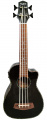 FZONE FZUB-10SBK Bass Ukulele – techzone.com.ua