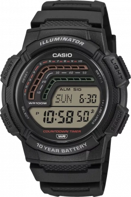 Чоловічий годинник Casio Standard WS-1800-1AVEF – techzone.com.ua