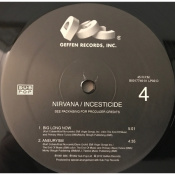 Виниловая пластинка Nirvana - Incesticide [2LP] 8 – techzone.com.ua