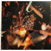 Вінілова платівка Nirvana - Incesticide [2LP] 3 – techzone.com.ua