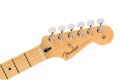 Електрогітара FENDER PLAYER ANNIVERSARY STRATOCASTER MN 2-COLOR SUNBURST 5 – techzone.com.ua