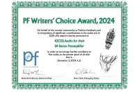 Стереопередпідсилювач Keces S4 8 – techzone.com.ua