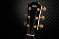 Гітара електроакустична TAYLOR GUITARS 217e-SB Plus LTD 50TH ANNIVERSARY SUNBURST 5 – techzone.com.ua