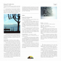 Вінілова платівка LP Friedemann: Echoes Of A Shattered Sky 4 – techzone.com.ua