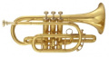 MAXTONE TCC-53/L Cornet Bb – techzone.com.ua