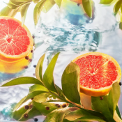 Roja Elysium Eau Intense Парфумована вода для чоловіків 100 мл тестер 2 – techzone.com.ua Roja Elysium Eau Intense Парфумована вода для чоловіків 100 мл тестер 2 – techzone.com.ua