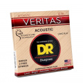 DR Strings VERITAS Coated Core Acoustic Guitar Strings - Bluegrass (12-56) 2 – techzone.com.ua