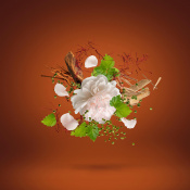 XerJoff Casamorati 1888 EDP Парфумована вода 100 ml 3 – techzone.com.ua XerJoff Casamorati 1888 EDP Парфумована вода 100 ml 3 – techzone.com.ua