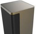 Акустика Loewe Satellite Speaker Dark Gold 2 – techzone.com.ua