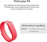 Фітнес-браслет Google Fitbit Air Berry 4 – techzone.com.ua