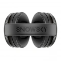 Навушники FiiO Snowsky Nature Black 4 – techzone.com.ua