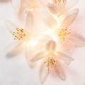 Bvlgari Allegra Magnifying Neroli Essence Парфумована вода для жінок 40 мл 2 – techzone.com.ua