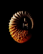 Orto Parisi Bergamask Парфуми унісекс 50 мл 4 – techzone.com.ua